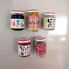 桃屋 マグネット カプセルトイ 5個セット