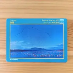 湿地カード 佐潟 新潟
