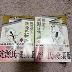 新源氏物語 2冊セット