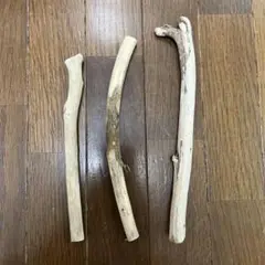 Item thumbnail for item f5ed0079-3dca-44a8-bf3c-25850bae9c88