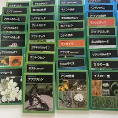 【大量40冊】科学のアルバム②　あかね書房