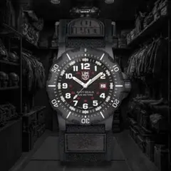 LUMINOX 4230 SERIES　Ref.4231.SET