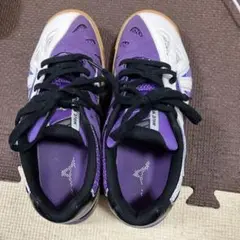 Item thumbnail for item d1f61af8-862d-49cb-b6be-55a0cc4a4e18