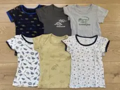 100cm 恐竜柄 半袖シャツ 6枚セット