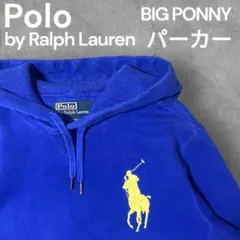 【大人気】Polo by Ralph Lauren BIG PONNY パーカー