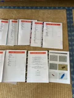 Item thumbnail for item 24f7168e-f7a4-4a37-933d-b6b390a4ae1b