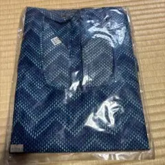 Item thumbnail for item 4201bda8-e455-4983-8960-af689f735528