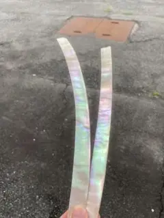 夜光貝　特大サイズ　30と32cm 2枚セット