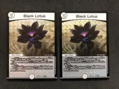 Item thumbnail for item b26c9bbf-f2bd-43fe-af62-9af0eefecca5