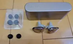 Sony BC-WF1000X