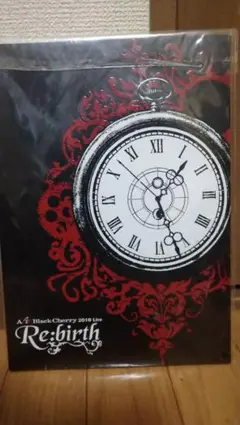 AcidBlackChreey 2010 ツアーパンプレットRe:birth