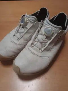 【ecco】BIOM ゴルフシューズ　ゴアテックス　ヤクレザー