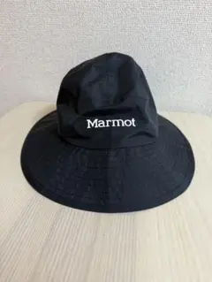 Item thumbnail for item 1231c8a3-28e1-49c3-9c59-0850c7277917