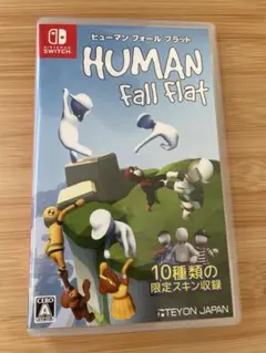 Nintendo switch ソフト　ヒューマン　フォール　フラット