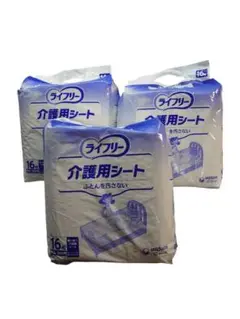 Item thumbnail for item 14f6beed-2055-47e2-a46c-12a6093cbdf7