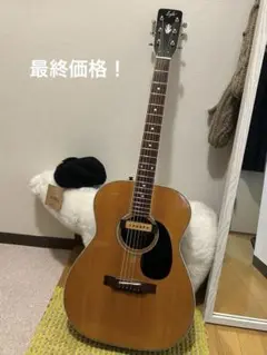 【超レア】Lyle ライル　630-RL アコースティックギター　エレアコ Vintage 1970's Japan Lyle 630-RL solid spruce top | Reverb
