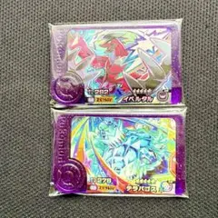 ポケモンフレンダ 5弾 テラパゴス イベルタル 新品未使用