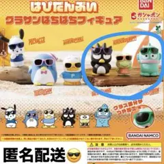 はぴだんぶい グラサンばちばちフィギュア ハンギョドン バッドばつ丸 けろっぴ