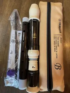 Item thumbnail for item 2754e38d-2e74-415a-8138-f6ddf4b93d0f