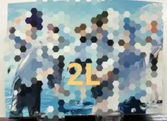 シクフォニ セブン ランダムブロマイド シークレット 2L版