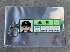 千葉ロッテマリーンズ　西川　パワプロ
