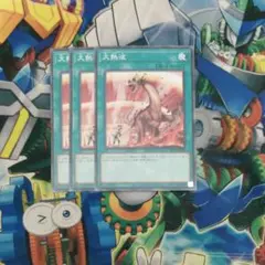 大熱波3枚セット　No.203