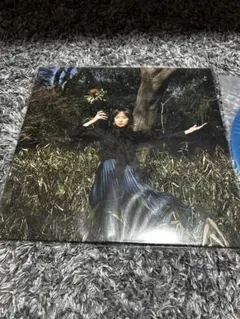 【未使用品】kiss the gambler レコード 黙想 何が綺麗だったの RHION-LP2.jpg