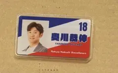 【奥川】ヤクルトスワローズ　スワポン
