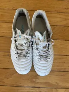 DS LIGHT X-FLY PRO2 エックスフライプロ