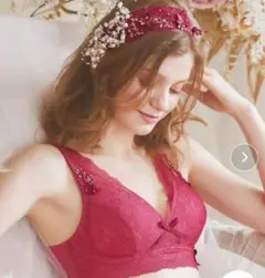 フェリシテ おやすみブラ Reine タイプ リサマリ レッド