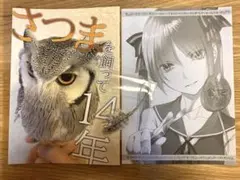 c106 noantica 新刊セット