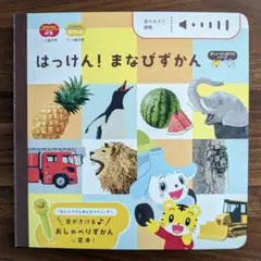 はっけん！まなびずかん　こどもちゃれんじぷち・ぽけっと