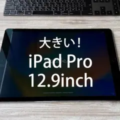 iPad Pro 本体 ほぼ13inch