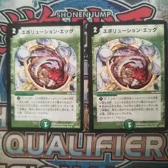 エボリューションエッグ　2枚