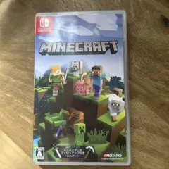 Minecraft Nintendo Switch