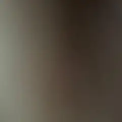 なし