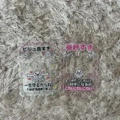 ヒモックマ トレカケース