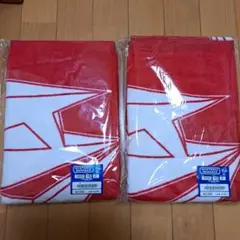 未使用 ヒスミニ バスタオル 2枚