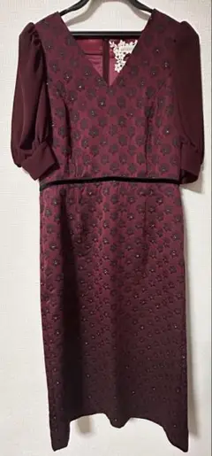 値下げ半額以下新品未使用setaichiroセタイチロウビジュー Vネックドレス