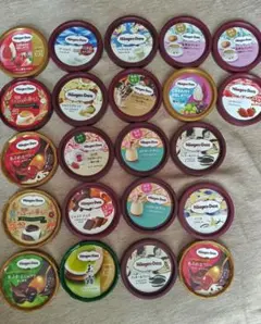 Häagen-Dazs 蓋　工作用　22個　①　ハーゲンダッツ