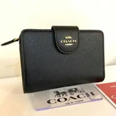 Item thumbnail for item e4898e20-610e-4bb6-86ac-f37f7ef2ca1d