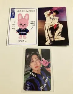 Stray Kids KARMA SKZOO盤封入　チャンビン