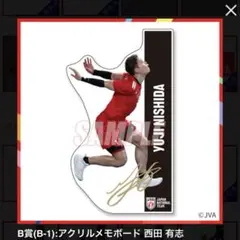 男子バレー日本代表 カプくじ