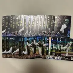 ドリームオーダー　猛虎の勇姿　OR Rまとめ