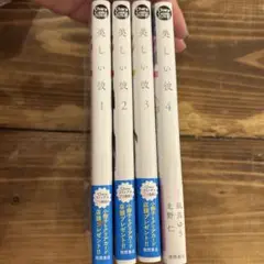 美しい彼 1-4巻セット