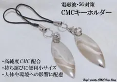 Item thumbnail for item c4050d9c-f8a6-47b4-832d-0d89b3dea1c2