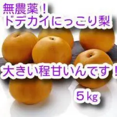 ラスト間近❣44特売農薬不使用にっこり❣特大玉約5kg5~8個/結城産 梨