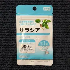 Item thumbnail for item 80ca1f5e-94d2-437a-afc7-fe2c3e5a42c8