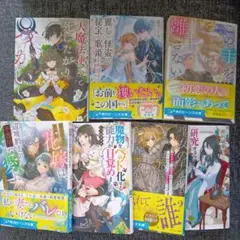 本日限定価格です!角川ビーンズ文庫　まとめ売り7冊