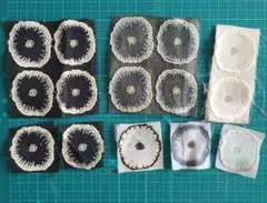 ミナペルホネン　jelly flower 6色　花15個ハギレセット